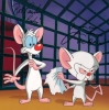 Pinky and the Brain's Avatar